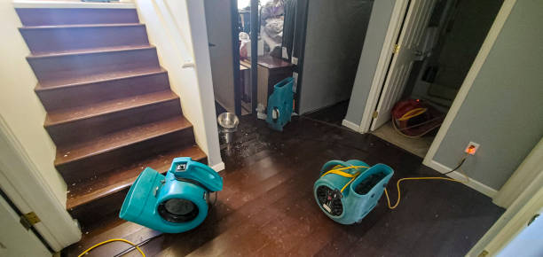  Laware City, DE Water damage restoration Pros