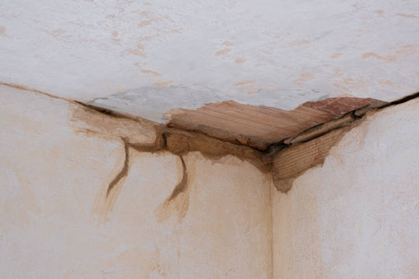 Best Water damage restoration process  in Laware City, DE