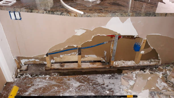 Best Water damage contractors near me  in Laware City, DE