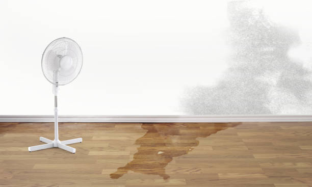 Best Residential water damage restoration  in Laware City, DE