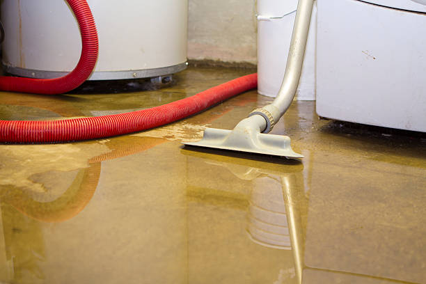 Best Water damage restoration specialists  in Laware City, DE