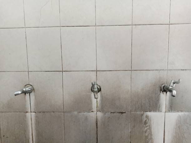 Best Basement water damage restoration  in Laware City, DE