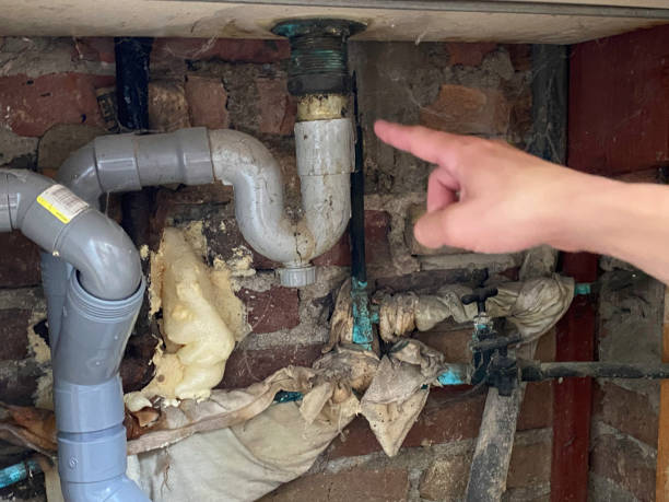 Best Carpet water damage restoration  in Laware City, DE