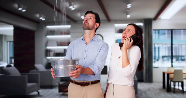 Best Water damage cleanup near me  in Laware City, DE